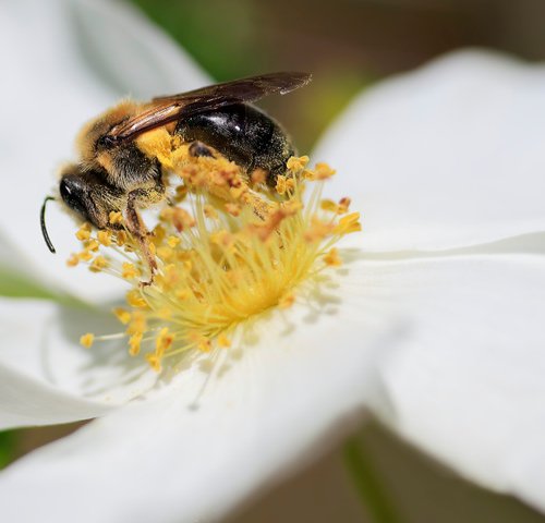 Busy Here by Kevin Cloughley