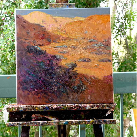 Evening in the Desert