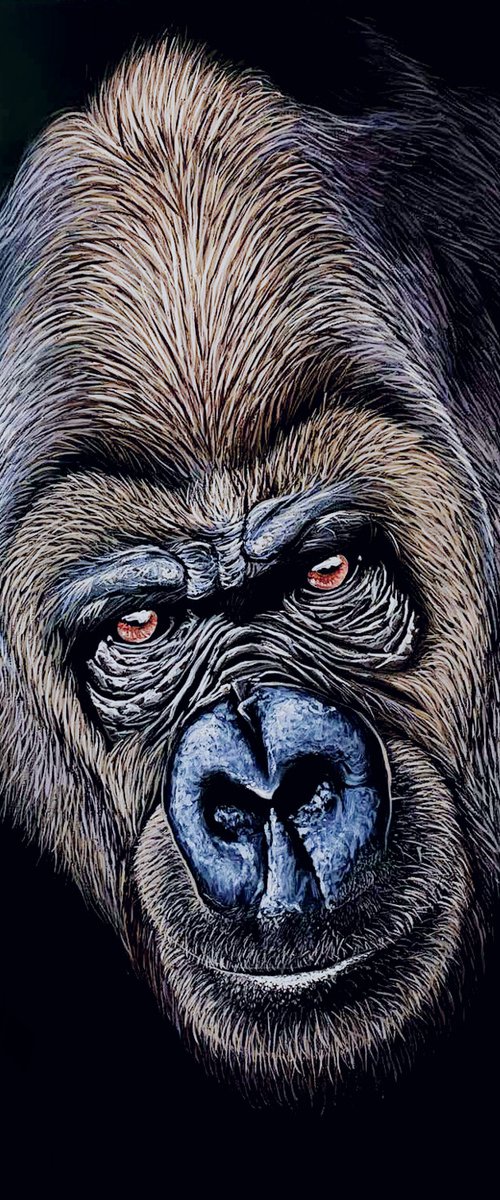 Gorilla - 70 x 50 cm , Ready to Hang / hyperrealism / photorealism / wild life/ animalism by Elena Adele Dmitrenko