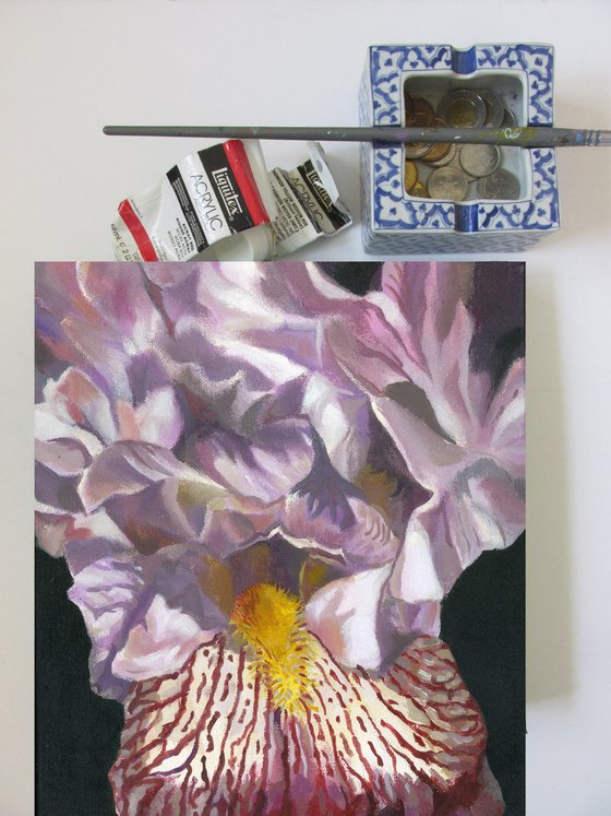 iris in pink acrylic painting