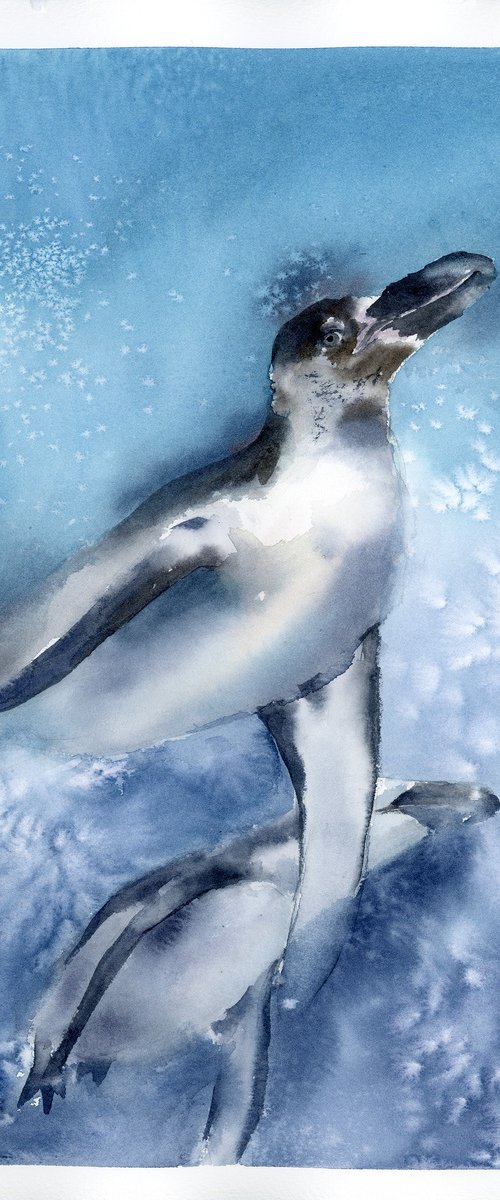 Penguins Underwater by Olga Tchefranov (Shefranov)