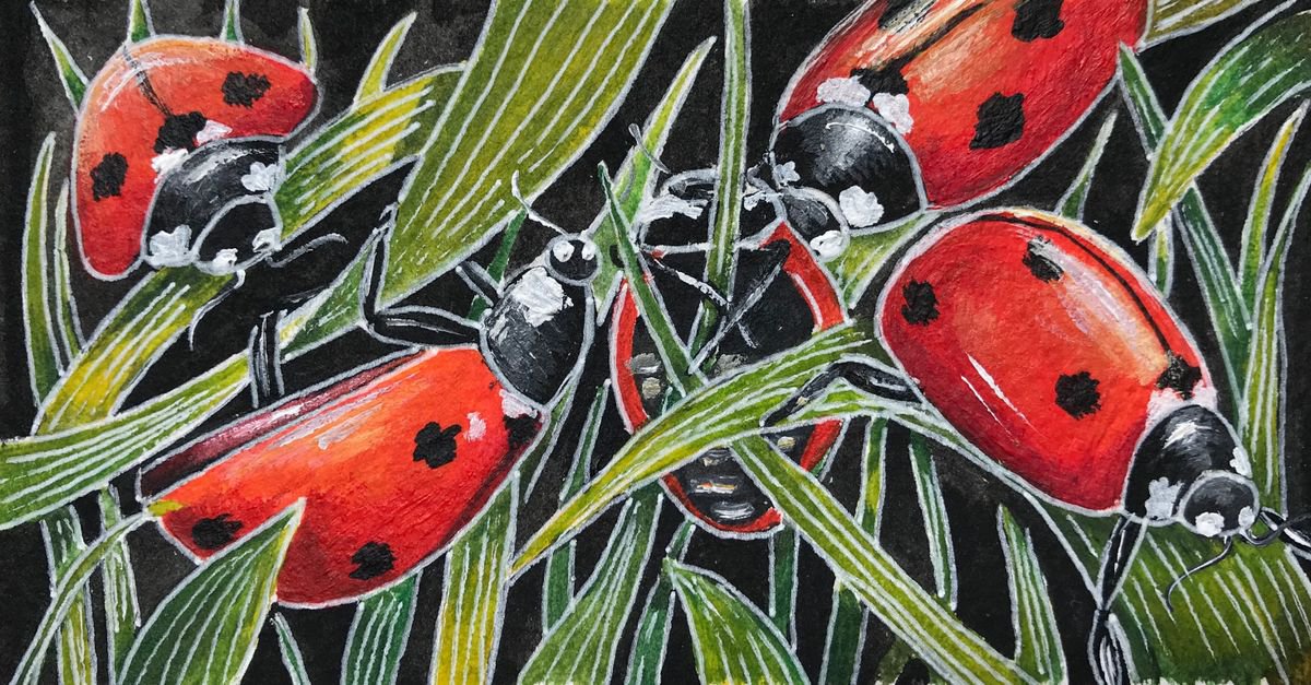 A loveliness of ladybirds 2 by Karen Elaine Evans