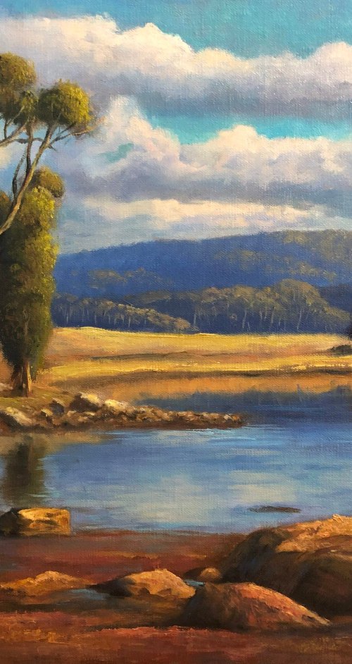 Receding Flood Water by Christopher Vidal