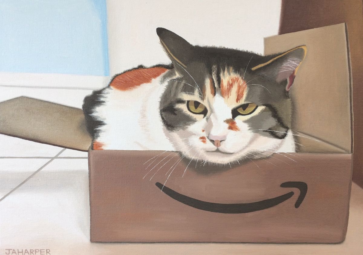 Cat in an Amazon Box by Jill Ann Harper