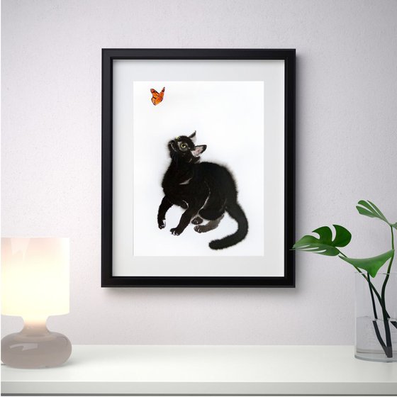 Black Cat Playing with Butterfly