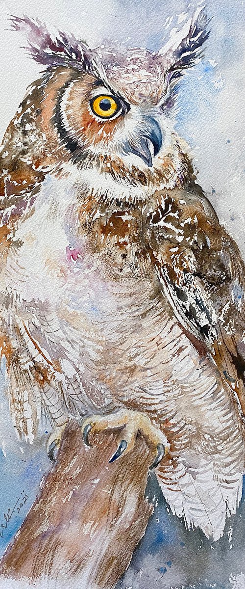 Egor_ Eagle Owl by Arti Chauhan