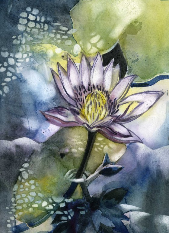 waterlily with blues