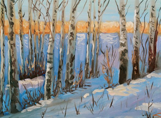 Winter birches