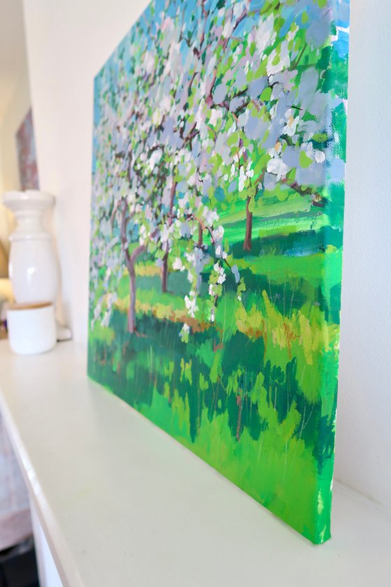 Spring Apple Orchard