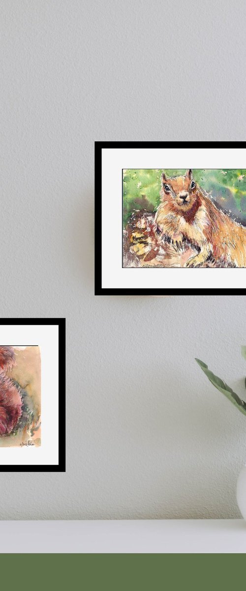 Set of Nutty Squirrels by Asha Shenoy