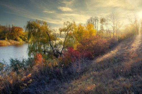 October light by Vlad Durniev