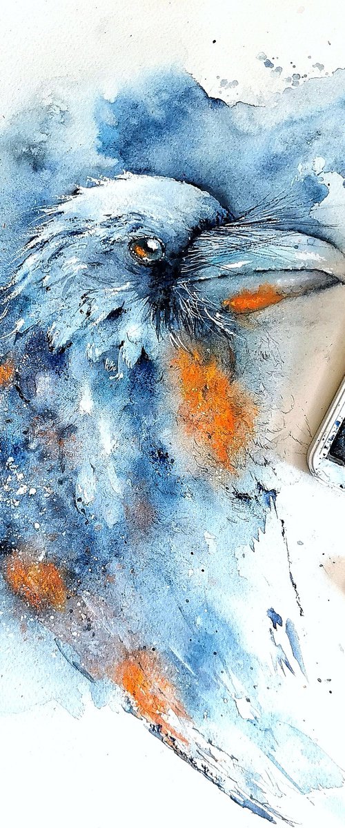 Raven by Sveta Hubmann