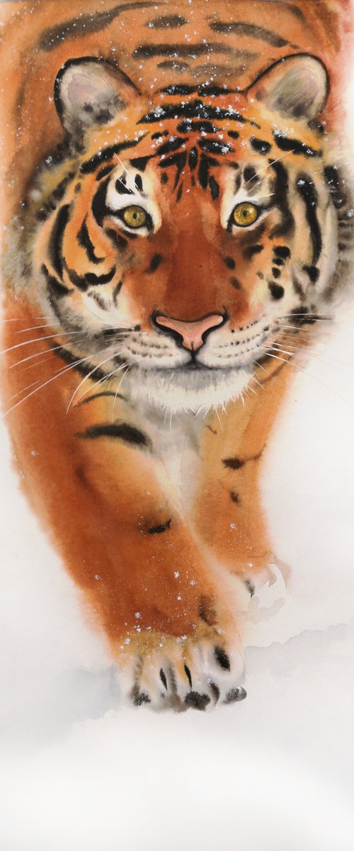 Tiger is Coming by Olga Beliaeva Watercolour