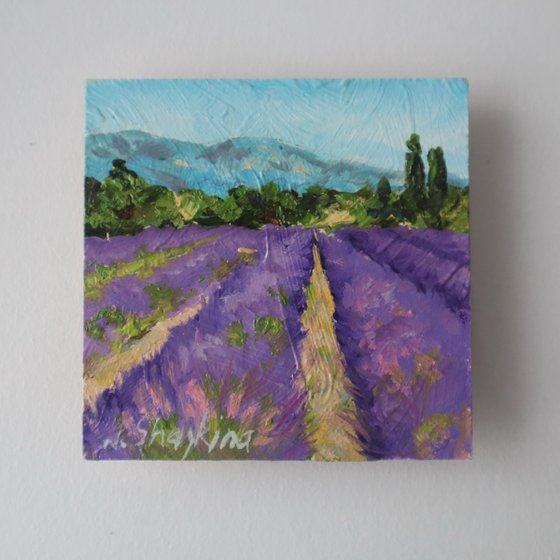 Mountain and Lavender Field