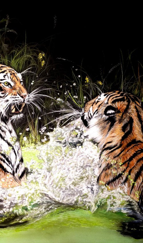 Tiger Fight by Deimante Bruzguliene