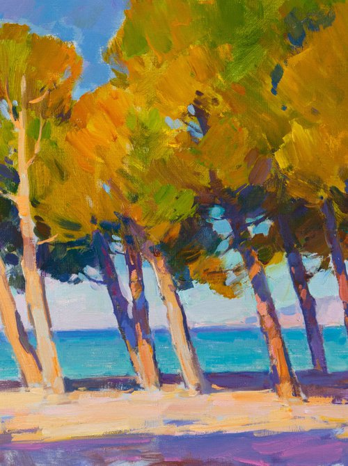 Croatian beach by Aleksandr  Kryushyn