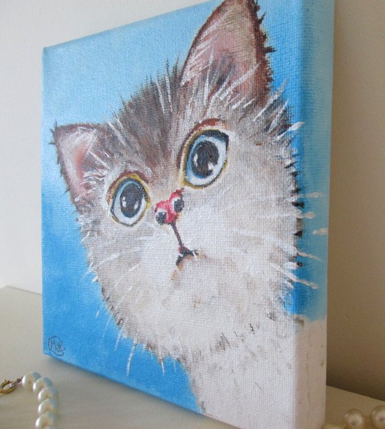 Cute Kitten Cat Portrait