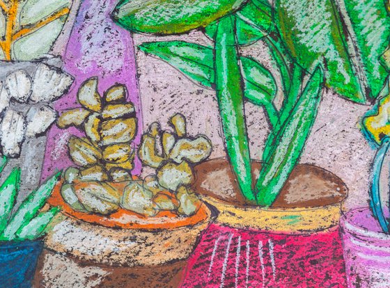 Home Plants in Vase