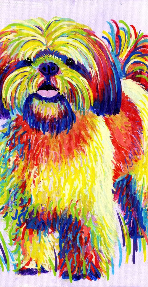 Rainbow Shih Tzu by Tiffany Budd