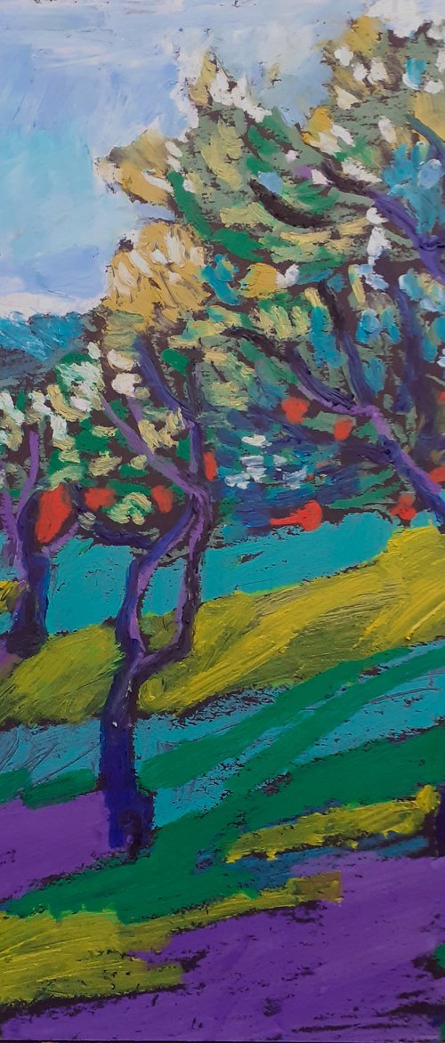 Olive grove No 38 by Maja Grecic