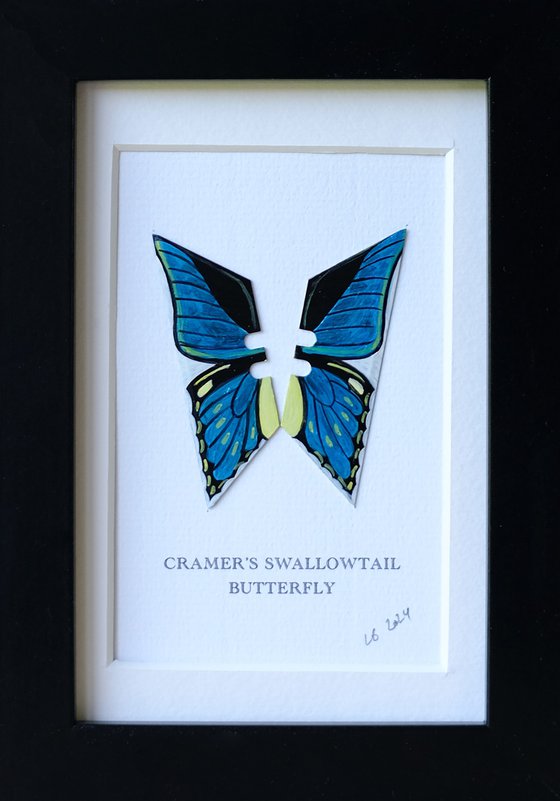 Cramer's Swallowtail butterfly