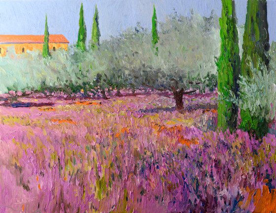 Lavender and Olive Trees