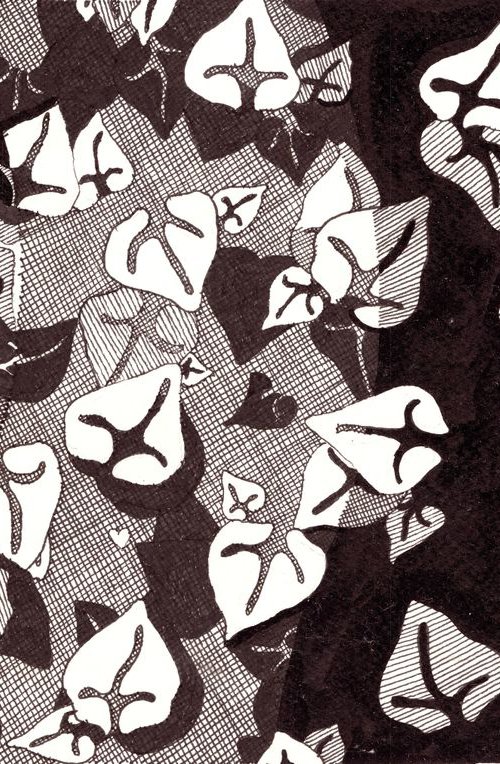 IVY PATTERN Ink Drawing by Nives Palmić