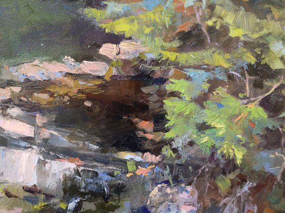 Joseph Howe waterfall (24x30")