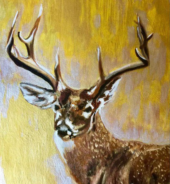 Spirit of the forest .
