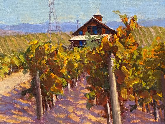 Autumn At Blue Creek Vineyards