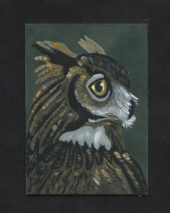 ACEO ATC Original Suede Painting Great Horned Owl Bird Wildlife Art-Carla Smale