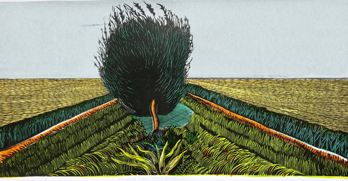 Illustrative Linocut , Oil-Seed Rape Field By Keith Alexander, 29 X 16, Artwork For Sale On Artfinder