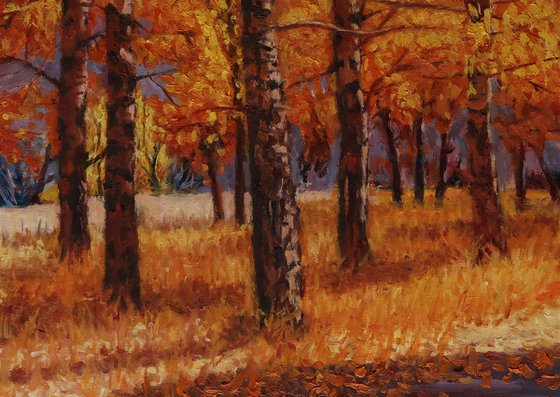 A Symphony of Autumn Aspens