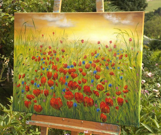 Sunset at the poppy field