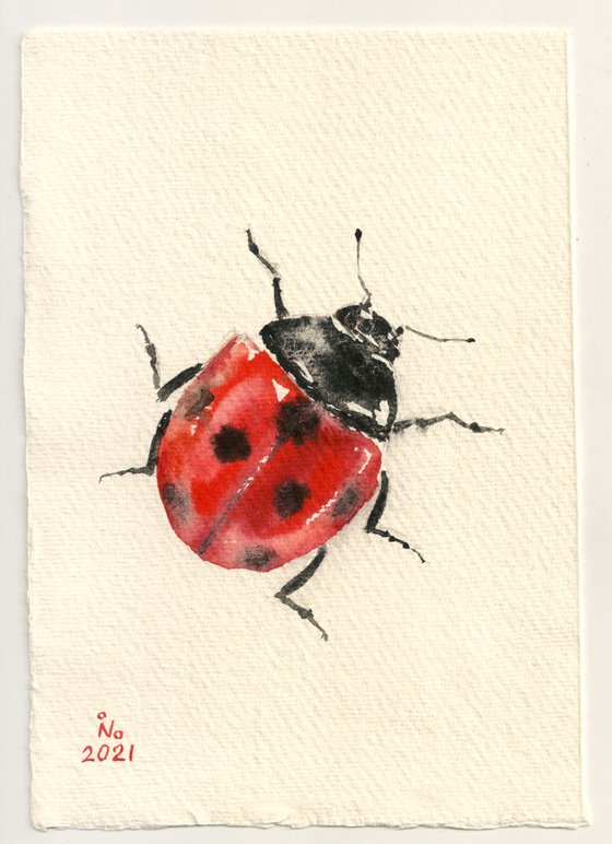 Ladybird