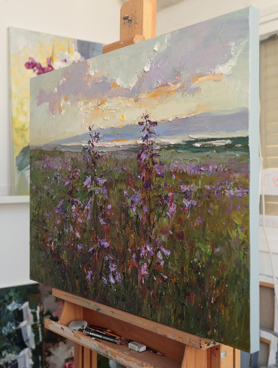 Sunset Over Wildflowers