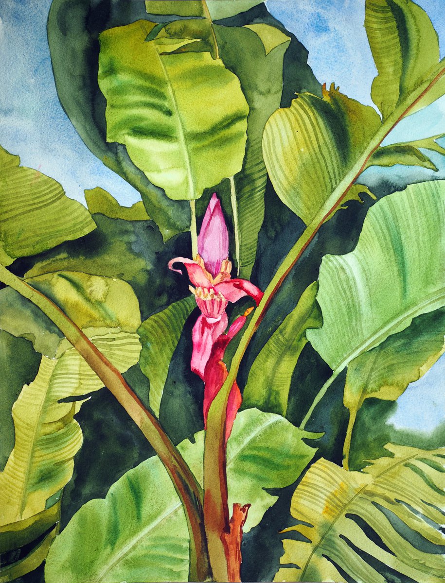 Impressionistic Botanical Watercolour By Delnara El, 12 X 16, Banana Blossom And Palms, Original Artwork