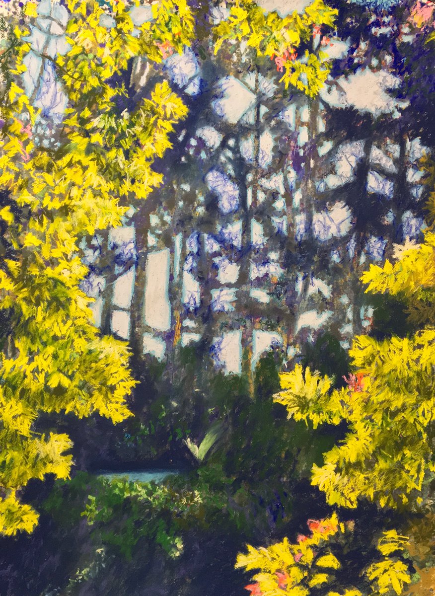 Impressionistic Landscape Pastel Drawing By John Cottee, 22 X 30, Forest Patterns, Original Artwork