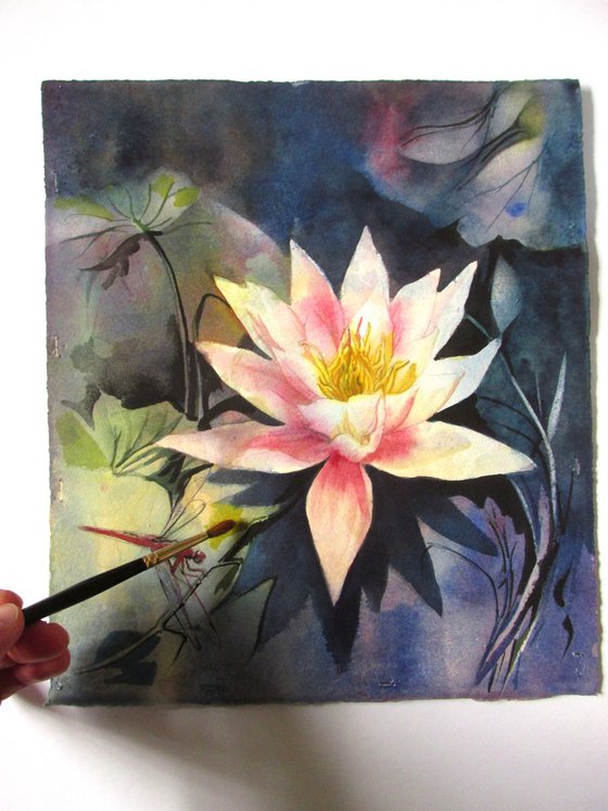 waterlily with dragonfly