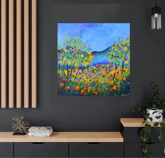 blooming trees  88