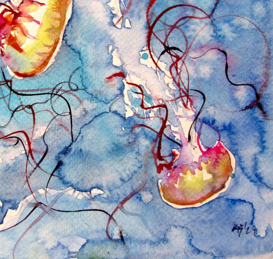 Jellyfish