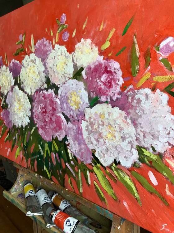 Peonies
