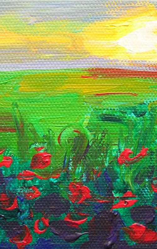 Poppy sunset by Maja Grecic