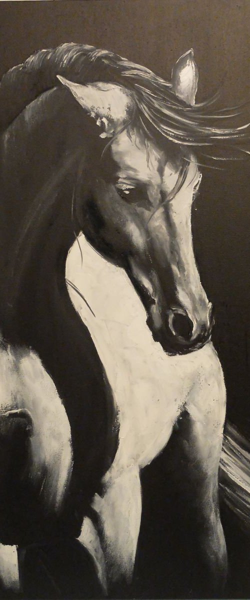White horse: insight by Valeriia Radziievska