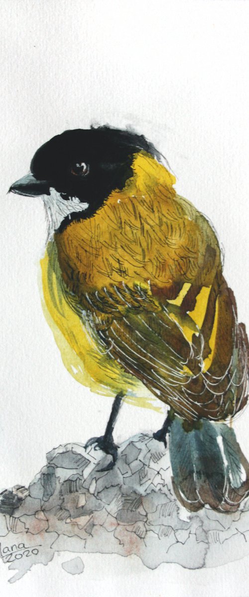 Bird II - Animal portrait /  ORIGINAL PAINTING by Salana Art Gallery