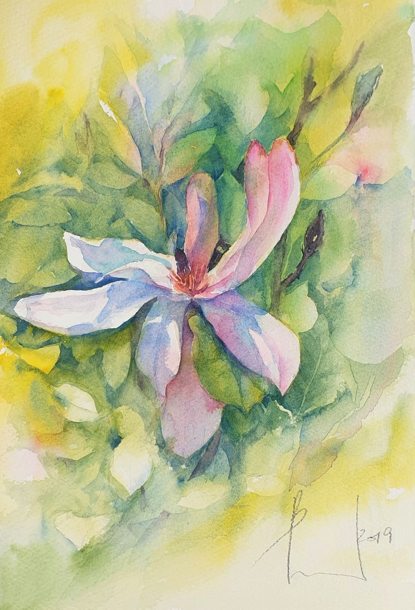 watercolour MAGNOLIA LATE SPRING I flower painting 15X25/ 2019.019 by Beata van Wijngaarden