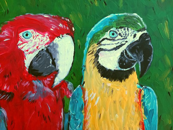 "Macaw couple"