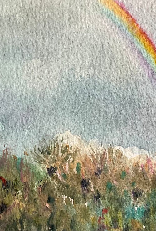 Rainbow over the hedgerow by Samantha Adams