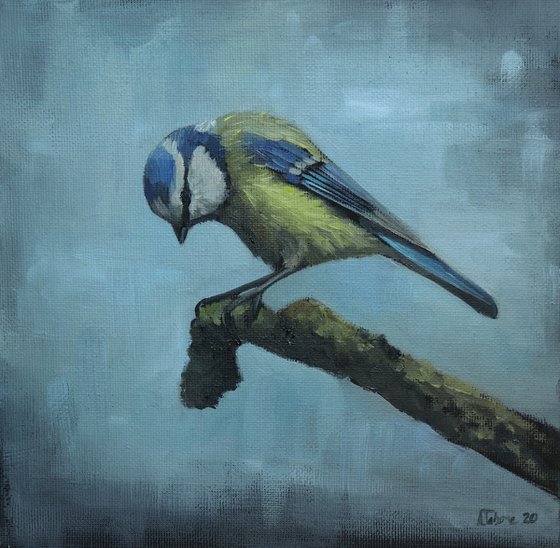 Lockdown's Morning Chorus Series - Blue Tit Triptych , Three Paintings Framed and Ready to Hang