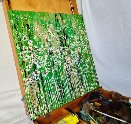 Daisies In The Grass